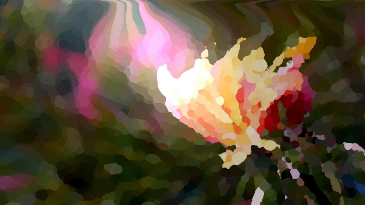 Dscf4553 2 3